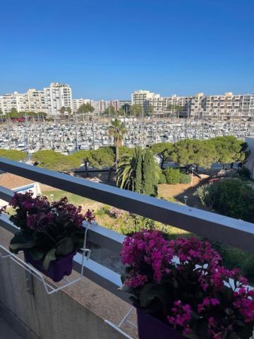 Studio Cabine Vue Mer Et Port Карнон-Плаж Экстерьер фото